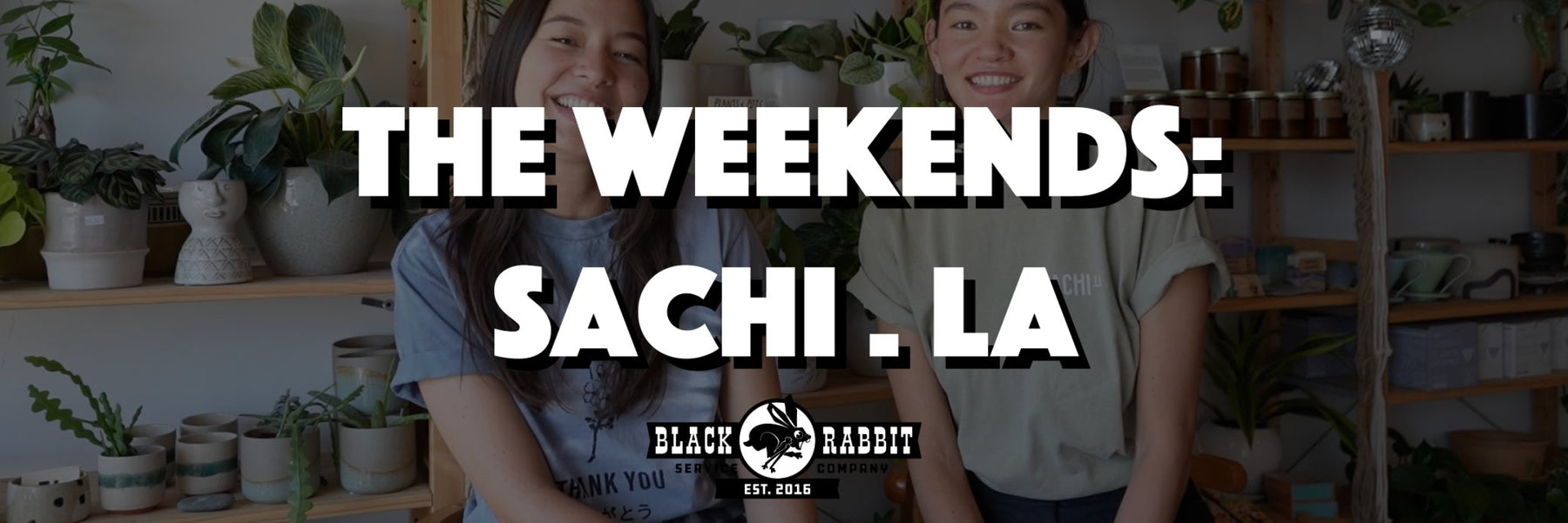 The Weekends: Sachi.LA | The Rabbit Hole - Black Rabbit Service Co.