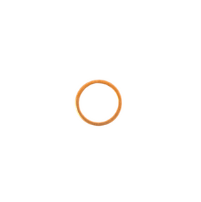 27400002 Rancilio Brewing Group Cap Gasket - Black Rabbit Service Co.