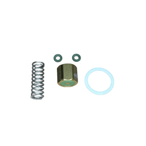 46900-10010 Slayer Steam Valve Rebuild Kit - Black Rabbit Service Co.
