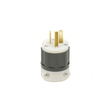 NEMA 5-20P Plug Leviton 5366-C - Black Rabbit Service Co.