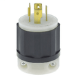NEMA L14-20P Dual Voltage Locking Plug 2411 - Black Rabbit Service Co.